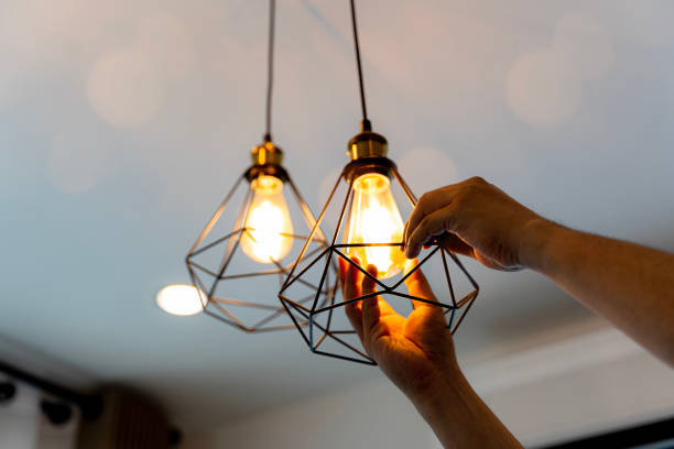 Best Electric Panel Repair  in Alamae, NC